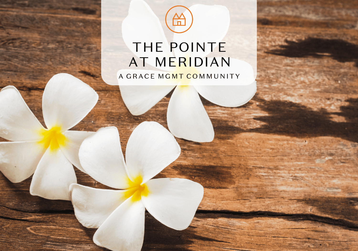 Pointe at Meridian - Hawaiian - Pointe at Meridian